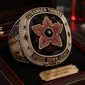STGT Premium Ring TTNL